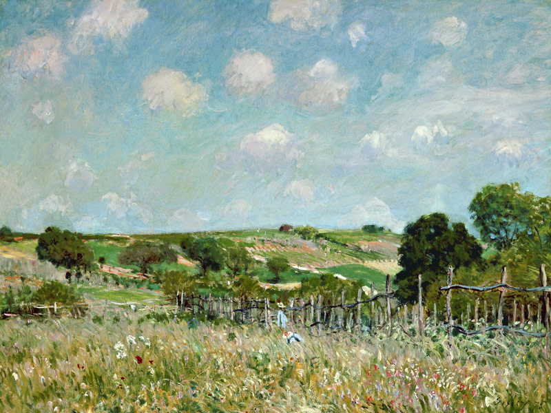 'The Meadow'