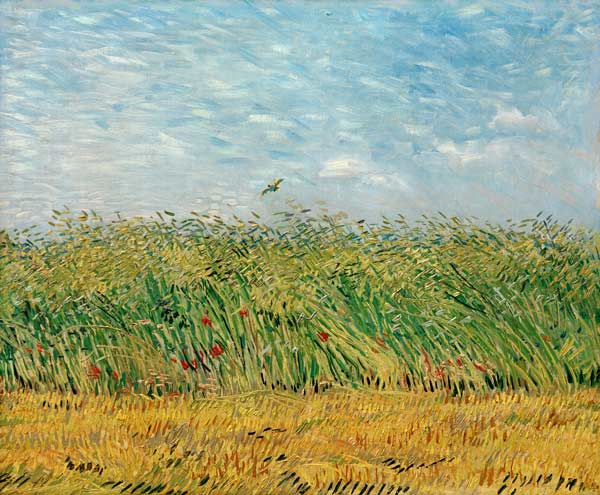 'Wheatfield with larks'