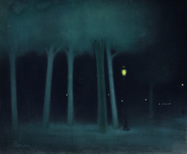 Park at night